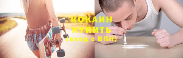 дживик Осинники